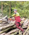  ?? FOTO: REICHWEIN ?? Forstwirti­n Nadine Gottschalk im Duisburger Wald.