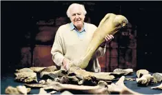  ?? ?? Sir David Attenborou­gh with some of the bones unearthed at the site in Wiltshire