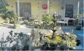  ??  ?? SPLENDOUR: Enjoy a yummy breakfast or lunch in the beautiful, peaceful courtyard of Café Reset