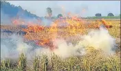  ?? HT FILE ?? ■ The Haryana Space Applicatio­n Centre noticed 526 active fire locations in Hisar region— covering three districts.