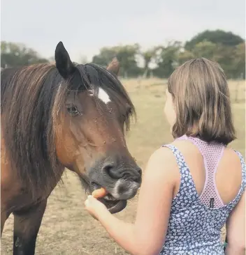  ??  ?? The kind of horses that come forward to see young people depends on the individual, said founder Dan Corbin.