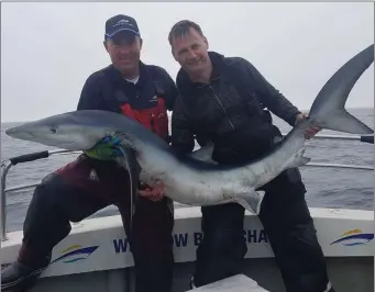  ??  ?? Kit Dunne and Mark Whelan with a Blue Shark they caught off Kilmore Quay.