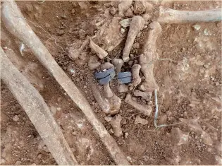  ??  ?? Right: A pair of silver spiral rings wrapped around the hand of an adult female in Grave 12