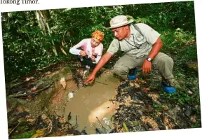  ??  ?? Forest activities – namely hiking, camping and jungle trekking – has been given the green light to operate. take this chance to explore the national parks such as the royal Belum Park. — Photos: tourism Malaysia