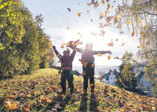  ??  ?? KNALLHØST: Det er meldt mye sol, lite nedbør og lite vind de kommende dagene. FOTO: NTB scanpix