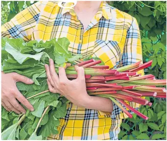  ?? ?? ● Every garden should have space for some rhubarb and other tasty veg
