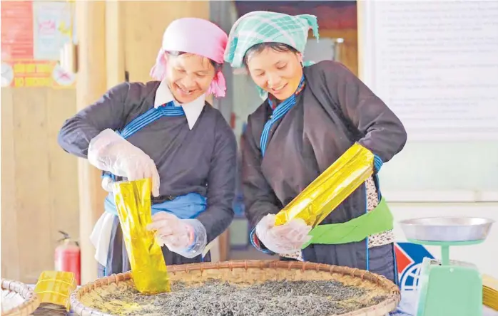  ?? Picture: SUPPLIED ?? Training and technical support has helped Bac Ha Tea Company to develop women-led supply chains and stable incomes for ethnic minority women in Vietnam (GREAT program).