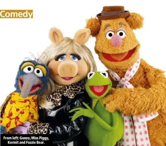  ??  ?? From left: Gonzo, Miss Piggy,
Kermit and Fozzie Bear.