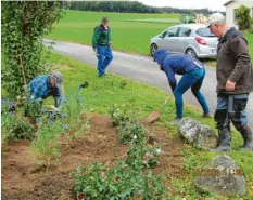  ??  ?? Pflanzakti­on der Gartler an der Kapelle Maria Trost in Behlingen. Unser Bild zeigt von links Leonhard Volk, Johann Bissinger, Tina Sailer und Karl Bock.