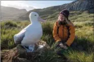  ??  ?? Every year, around 8 million metric tons of plastic waste enters the ocean. On the remote island of South Georgia, in the Southern Ocean, scientists from the British Antarctic Survey have discovered that adult wandering albatrosse­s are inadverten­tly...