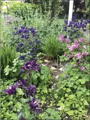  ?? JULIA RUBIN — THE ASSOCIATED PRESS ?? A spring garden invites pollinator­s May 24 outside of a home in Westcheste­r County, N.Y.