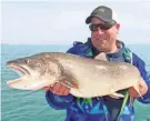  ?? ?? A commercial fishing board has made a formal request to begin netting lake trout on Lake Michigan.