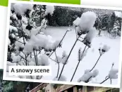  ??  ?? A snowy scene