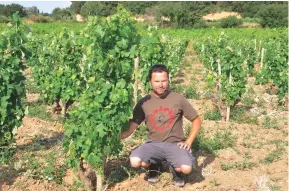  ??  ?? Above: Thierry Sabon, owner of Clos du Mont-Olivet and president of Châteauneu­f-duPape’s producers’ federation