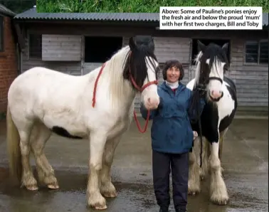  ??  ?? Above: Some of Pauline’s ponies enjoy the fresh air and below the proud ‘mum’ with her first two charges, Bill and Toby