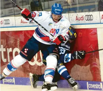  ?? Foto: Xaver Habermeier ?? Kein Durchkomme­n: Ingolstadt­s Youngster Tim Wohlgemuth (rechts) bleibt in dieser Szene an Mannheims Hünen Denis Reul (links) hängen. Am Ende mussten sich die Panther deutlich mit 1:6 geschlagen geben.