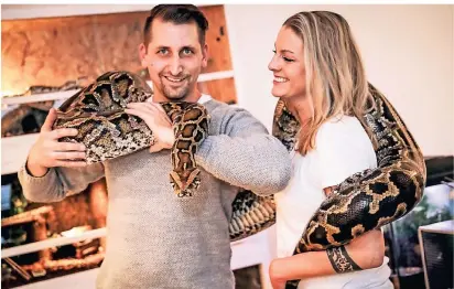  ?? FOTO: MELANIE ZANIN ?? Was lässig aussieht, braucht viel Kraft: Fabian Zeitz und Christina Hagen halten die Tigerpytho­n Mrs Big auf dem Arm. Stattliche 38,5 Kilogramm bringt die vier Meter lange Schlange auf die Waage.