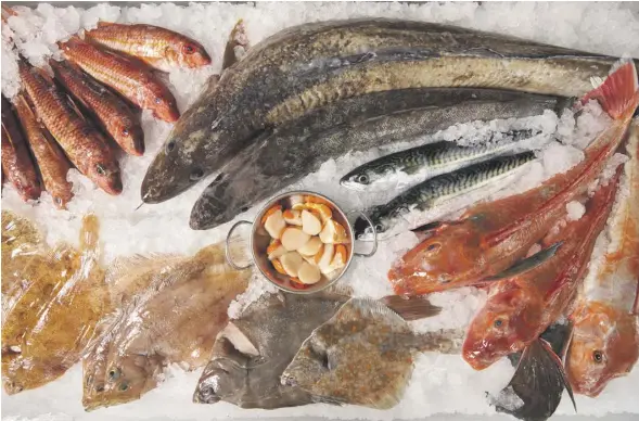  ?? PHOTOGRAPH: EMLI BENDIXEN/THE GUARDIAN ?? The display at Pysk fishmonger­s, Falmouth, where people can buy more than standard cod and salmon