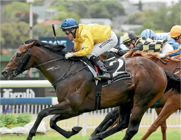  ?? TRISH DUNELL ?? Saville Row is grabbing the money and could wrest favouritis­m off Hall Of Fame in the Levin Classic.