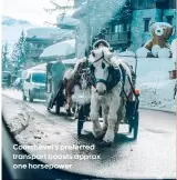  ??  ?? Courchevel’s preferred transport boasts approx one horsepower