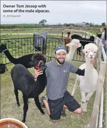  ?? 01_B37Open04 01_B37Open03 ?? Owner Tom Jessop with some of the male alpacas.
Visitors had the opportunit­y to have a look at the Balmichael glamping pods.