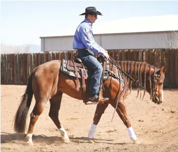  ?? ?? Before I even think about schooling my horse at home, I take plenty of time to warm him up and make sure that he’s mentally and physically prepared for our training session.