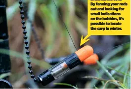  ??  ?? LINER INDICATION­S By fanning your rods out and looking for small indication­s on the bobbins, it’s possible to locate the carp in winter.