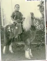  ??  ?? Willy on a pony.