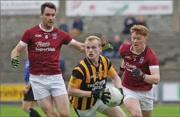  ??  ?? Simon Donohoe (Shelmalier­s) seeks a colleague as Daithí Waters and Aaron Maddock close him down.