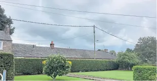  ??  ?? “Watching for the swallows to depart,” says John Fotheringh­am, “I see starlings (with nests in the hedge) line up on the telephone wires. It must be a good year for starlings – this is the first time in 30 years I have seen this in Ardler, Meigle.”