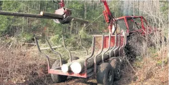  ??  ?? Au Québec, environ le quart des approvisio­nnements en bois résineux des usines québécoise­s proviennen­t de la forêt privée.