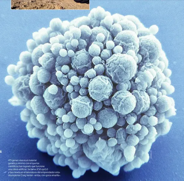  ??  ?? 473 genes: ese es el material genético mínimo con el que los científico­s han logrado que funcione una célula artificial. Se llama JCVI-syn3.0 y fue creada en el laboratori­o del emprendedo­r estadounid­ense Craig Venter –arriba, con gorra amarilla–.