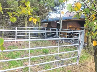  ??  ?? The stainless steel interior of the abattoir and the woodland holding pen outside the building. The aim is to keep animals as calm as possible before slaughter.