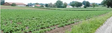  ?? Foto: Martin Golling ?? Der Blick geht von Nordosten auf die Wachhofer Siedlung im Aindlinger Ortsteil Gaulzhofen. Diesen Blickwinke­l wird es so künftig nicht mehr geben, wenn der neue Schwei nestall quer zur Halle (links) errichtet ist.