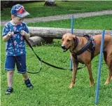  ?? Foto: Kis ?? Vor Kurzem hat Lola den Christoph Scheiner Kindergar ten in Mindelheim besucht und den Kindern gezeigt, wie man richtig mit Hunden umgeht.