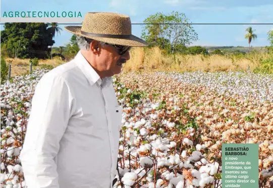  ??  ?? SEBASTIãO BARBOSA: o novo presidente da Embrapa, que exerceu seu último cargo como diretor da unidade Algodão, em Campina Grande (PB), tem fama de estrategis­ta em questões internacio­nais