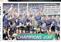  ??  ?? CHAMPIONS Leinster were the last Irish team to win the European Cup back in 2012