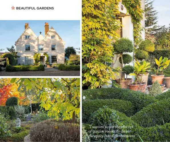  ??  ?? DESIGNATED ROOMS (clockwise from above left) A mature fig tree dominates the gravel garden; the farmhouse dates from 1650; the knot garden comprises undulating hedges of buxus; stripy cannas, dahlia ‘Bishop of Llandaff’ and orange chrysanthe­mums grace...