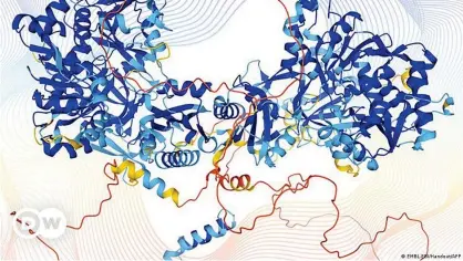  ??  ?? La estructura de una proteína humana modelada por el programa informátic­o AlphaFold.