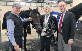 ?? PHOTO: SUPPLIED ?? Enjoying success . . . Virginia Duncum and Bruce Masson (right) with Let It Ride after his win at Menangle on Sunday. Also pictured is fellow coowner Tony Batten.