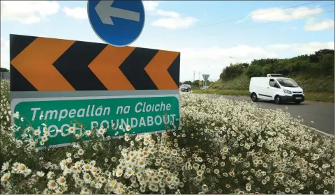  ??  ?? The wildflower meadow on the Clogh Roundabout created by Gorey Municipal District, in conjunctio­n with Gorey Tidy Towns.