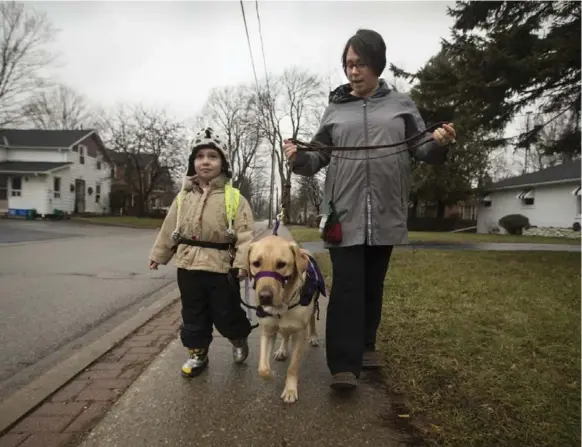  ?? BERNARD WEIL PHOTOS/TORONTO STAR ?? Atlas Anderson, who has been diagnosed with severe autism, walks to school with Harris and mother Kat on his first day tethered to the dog, which prevents him from dashing into the street.