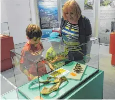  ?? FOTO: FEDERSEEMU­SEUM ?? Kürzlich noch im Moor, jetzt schon in der Vitrine: Funde aus Neuweiher II können die Besucher nun im Federseemu­seum besichtige­n.