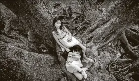  ?? CONTRIBUTE­D ?? Carla Trivino’s image of her sisterin-law and niece on the roots of a Banyan tree in
West Palm Beach is part of a series of photos inspired by a Season to Share article in The Palm Beach Post.