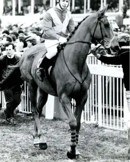  ??  ?? Guy and Lean Ar Aghaidh after finishing third in the Grand National