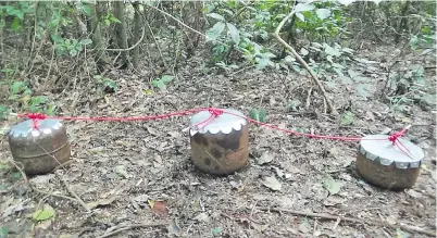  ??  ?? Bombas caseras fabricadas por Antonio Bernal y su gavilla, con las que atacaron varias estancias.