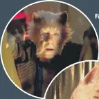  ??  ?? FAMOUS FURRY FACES Sir Ian McKellen and Taylor Swift