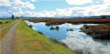  ?? PAMELA WADE ?? Tasman’s Great Taste Trail features shorebirds, boardwalks, long bridges, paddocks, wetlands and stopbanks.