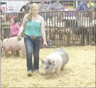  ?? COURTESY PHOTO ?? Abby Dismang, a member of Farmington FFA, shows her pig at a livestock fair in 2016.