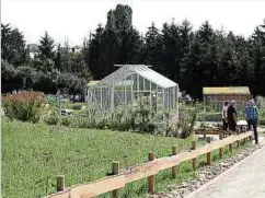  ?? Foto: Raymond Schmit ?? Die Gartenanla­ge im Matgesfeld wurde um ein Gewächshau­s, ein Bienenhaus und eine Voliere erweitert.